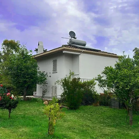 Zellino *